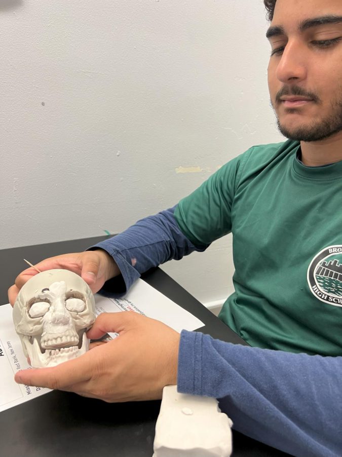 Brandon Genao presents his skull to Ms. Norton