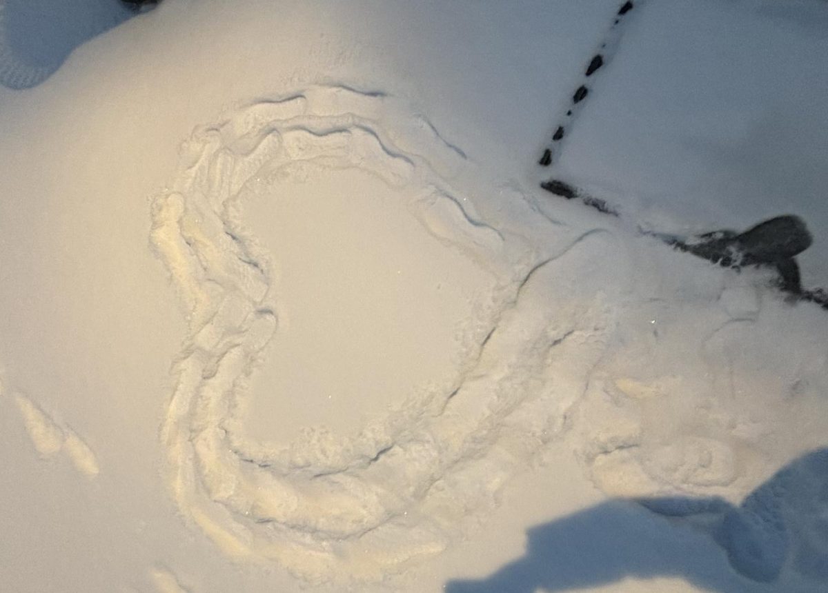 Some people build snowmen; others prefer sketching hearts in the snow.
