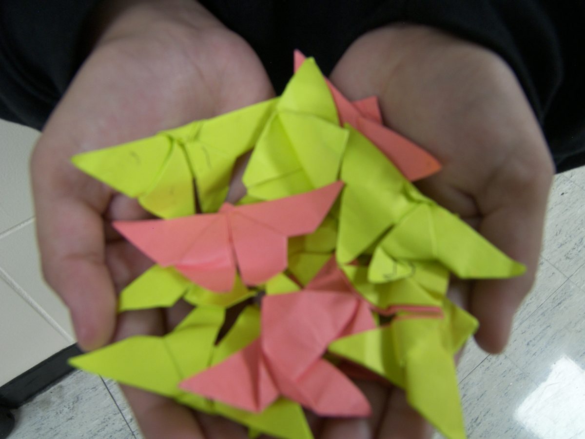 Emily Juarez, a freshman, likes making origami as a hobby. You'll find one inside her backpack. 