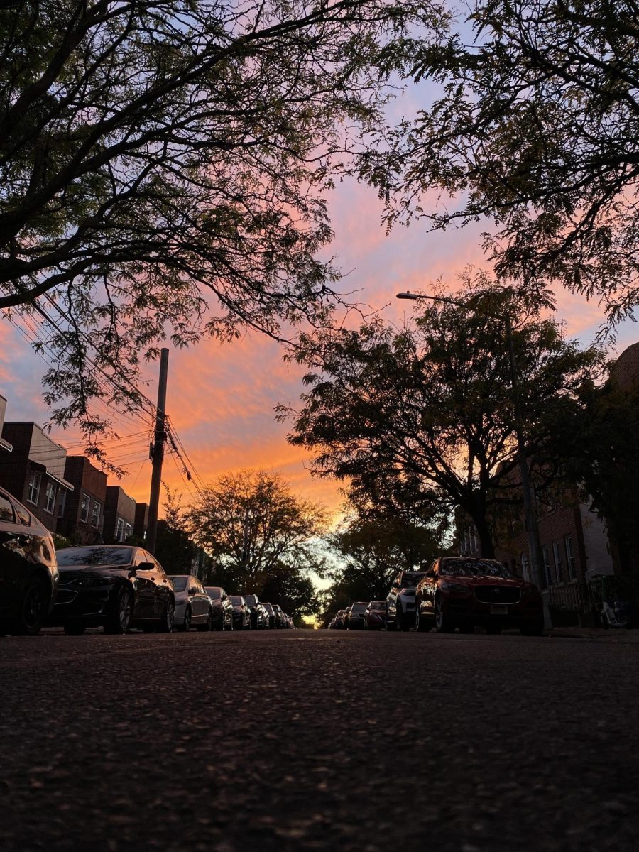 Cotton candy sky swipes by as the sun waves goodbye on a December day in the Bronx.