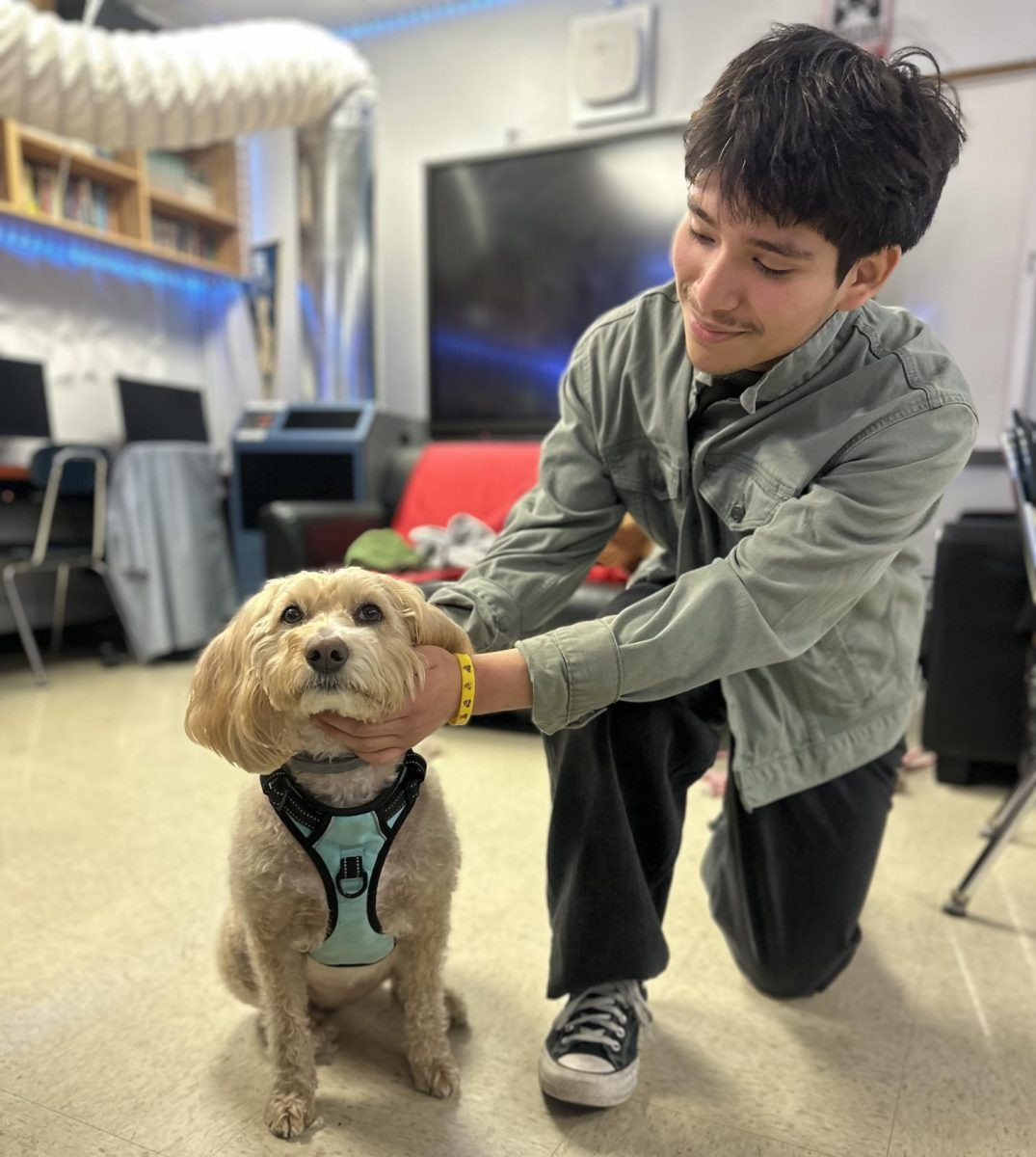 Alexis Santos, a dog lover, poses for a quick picture with Amélie.