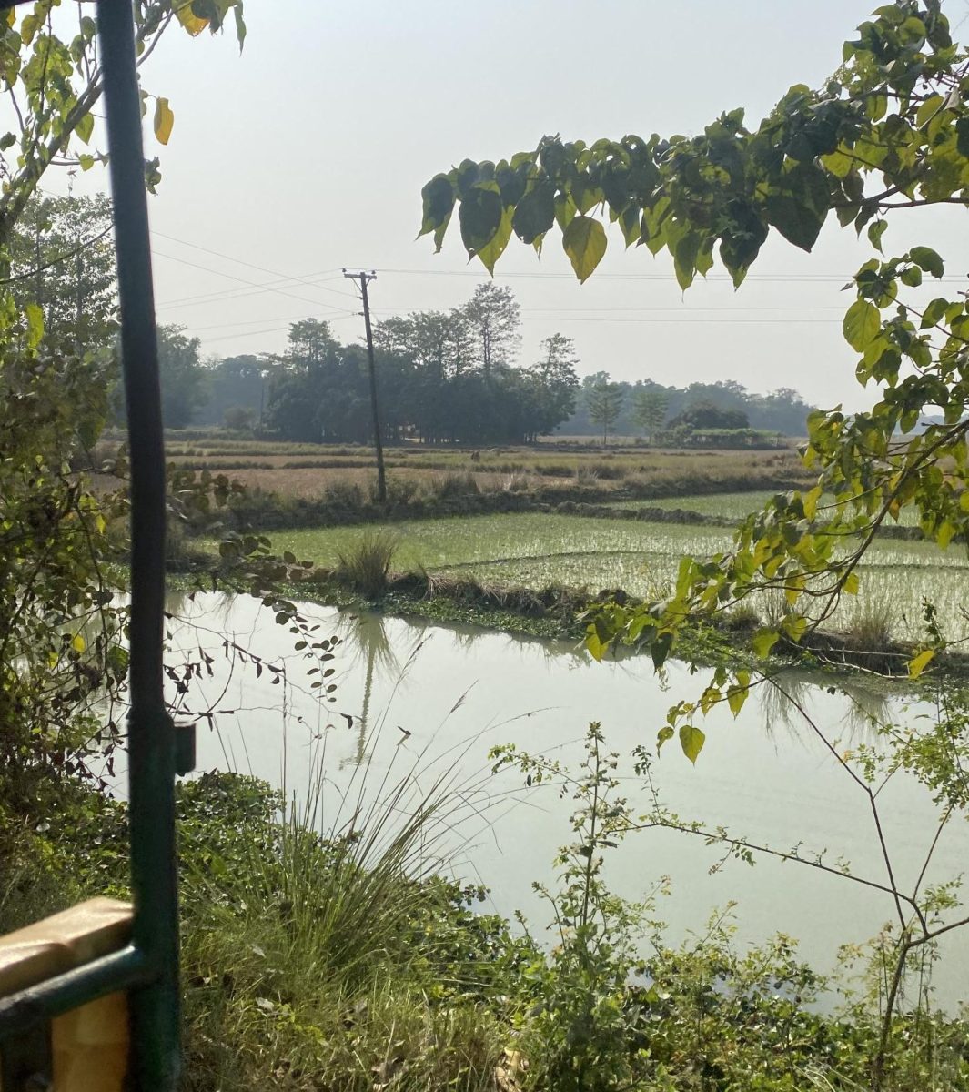 The beautiful combination of shallow lakes and green land of the village side in Bangladesh.