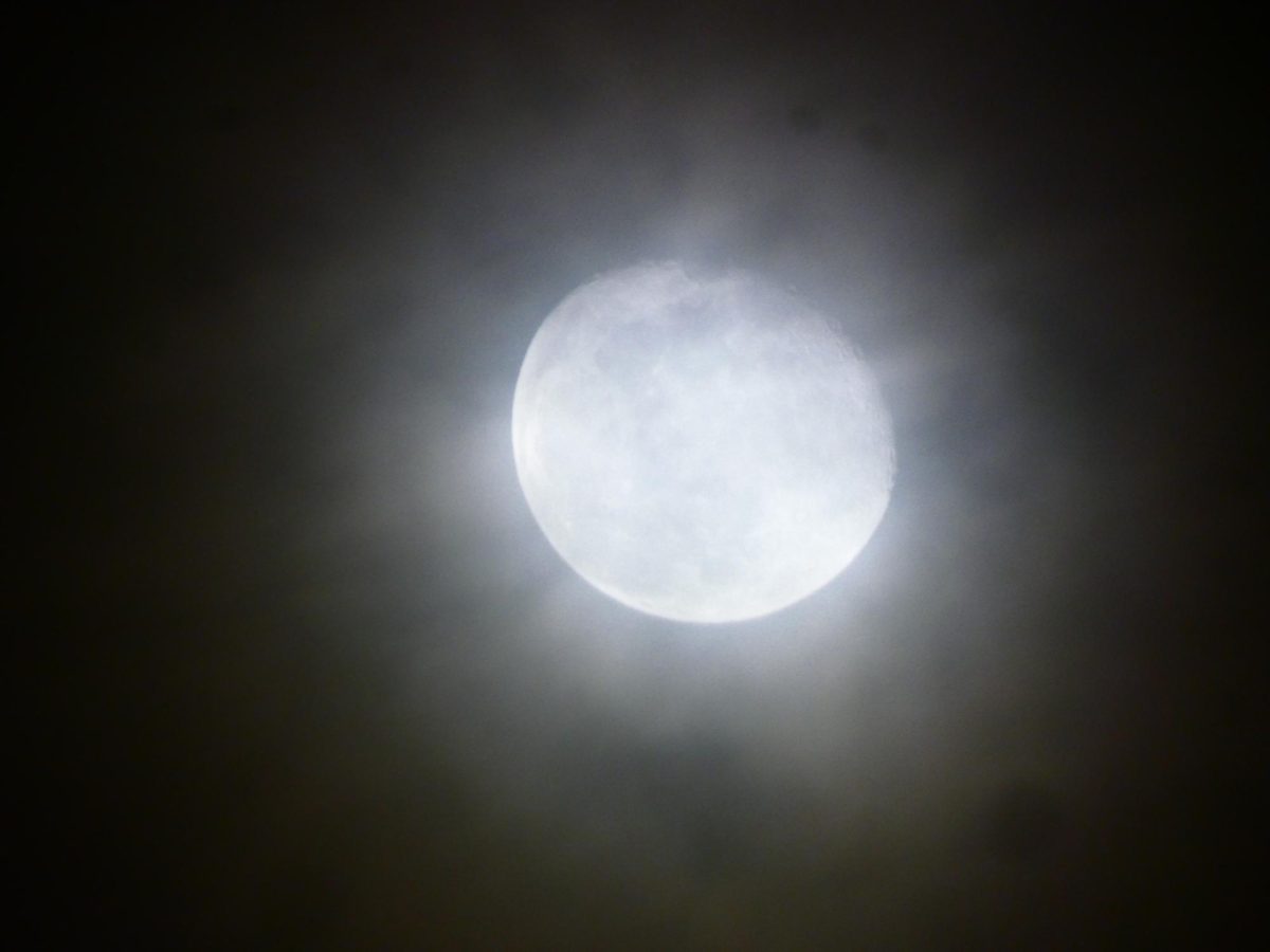 A gorgeous image of this month's waning gibbous moon.