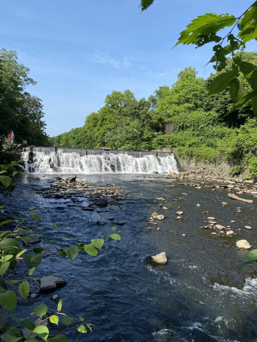 Nature bath as may bring flowers to the waterfall the Bronx Zoo.