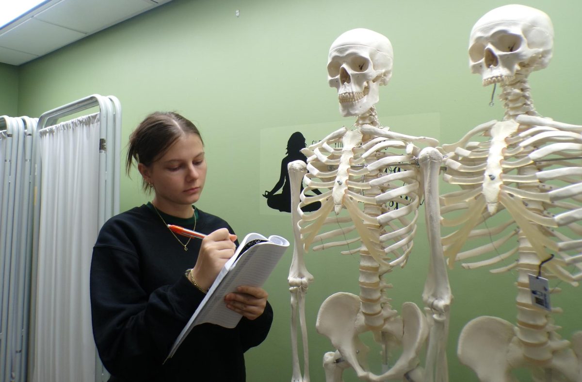 Sumeja Halili, a junior from BRHS, completes STEAM classwork.