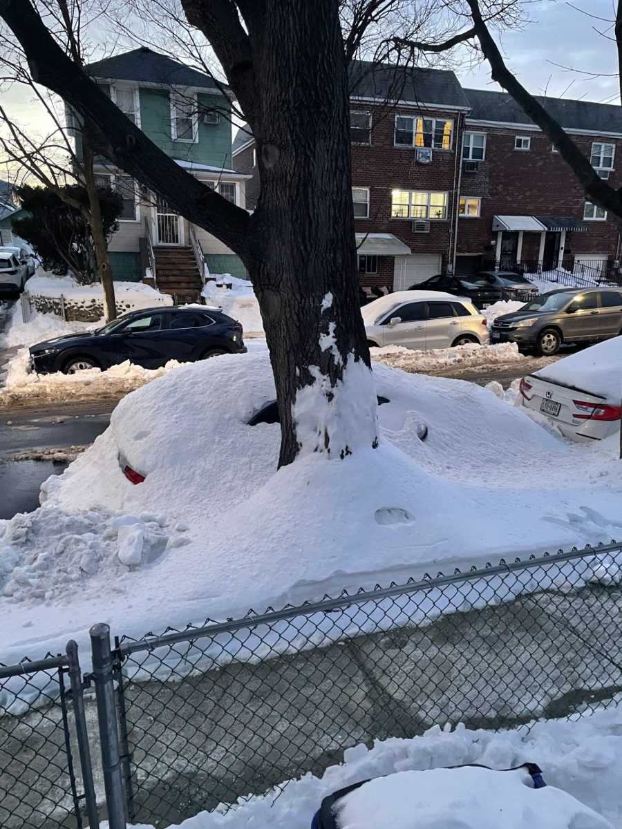 Like a lot of cars parked on the street after the snow storm, this ice-covered car in Throggs Neck isn't going anywhere. 