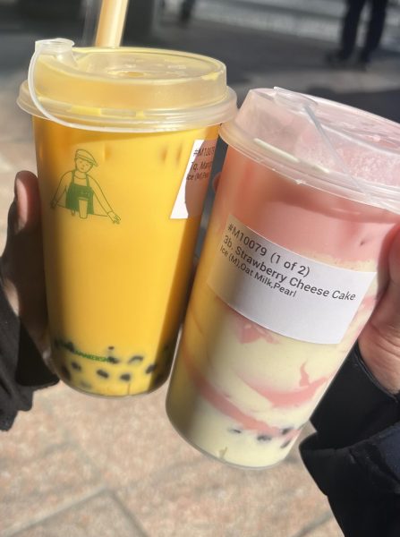 The mango and strawberry cheesecake bubble tea drinks ended our outing with a taste of sweetness.