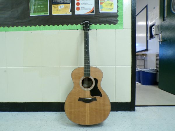Teacher Pedro Rabaje plans to start a guitar club in the fall. 
